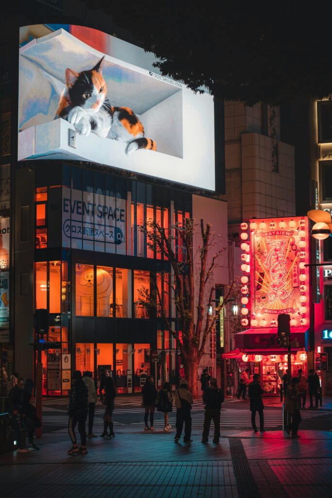 新宿にてLEDビジョン設置後の猫画像